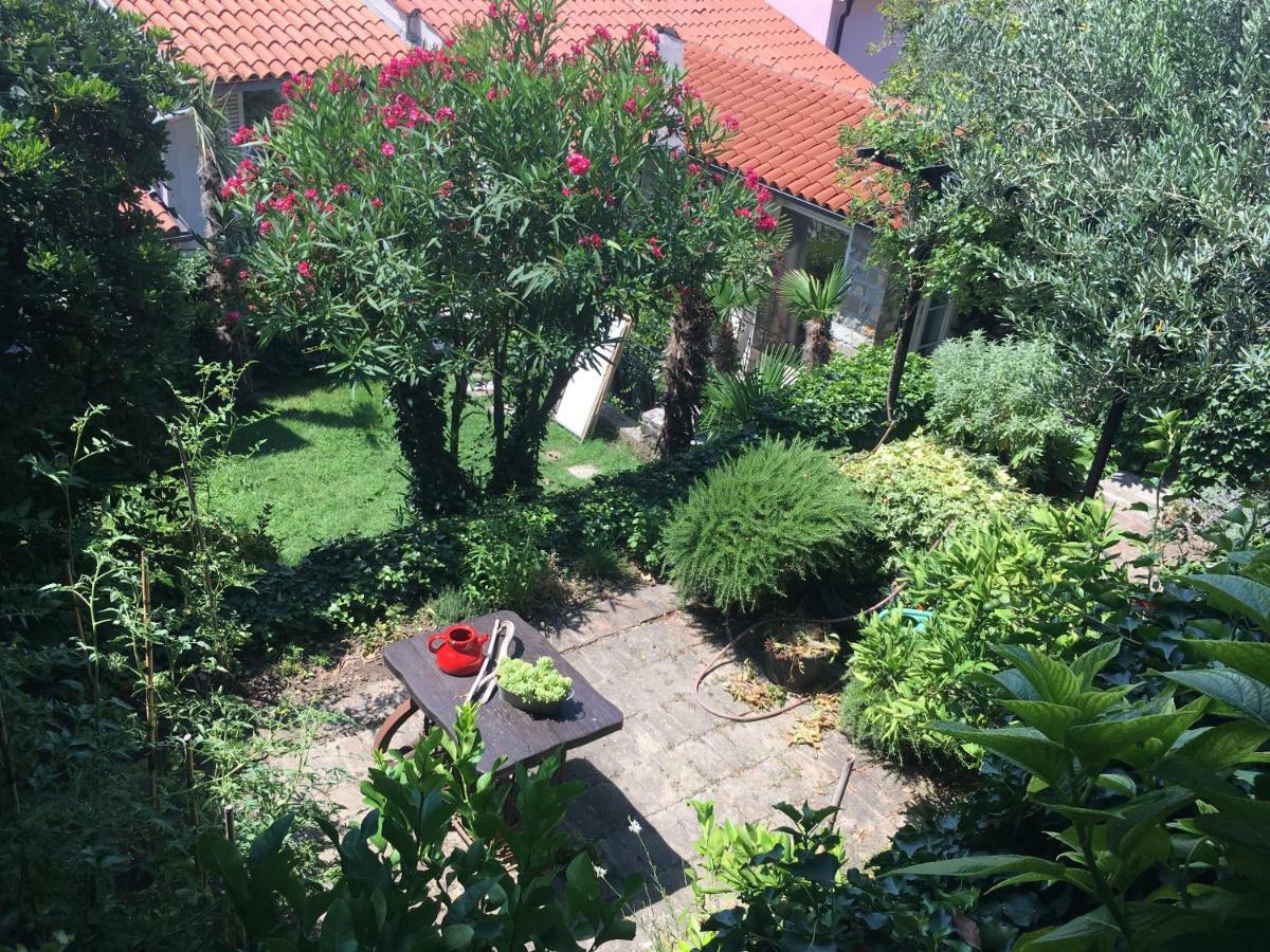 Green Oasis Family Apartments Piran Exterior foto